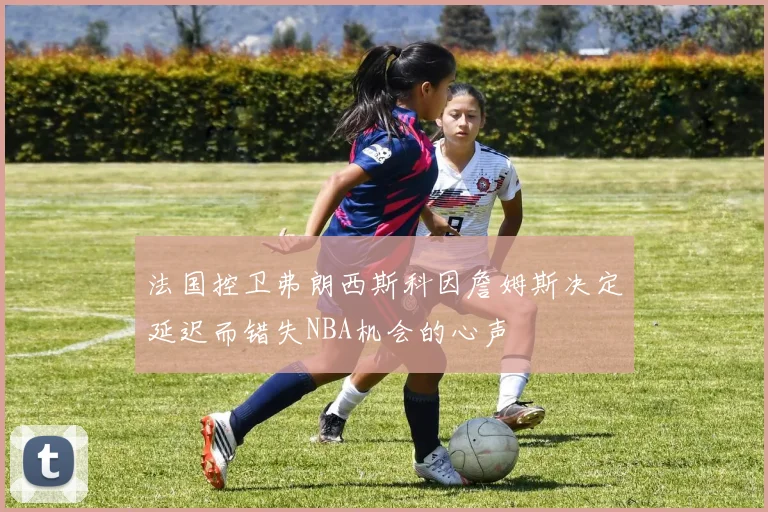 法国控卫弗朗西斯科因詹姆斯决定延迟而错失NBA机会的心声