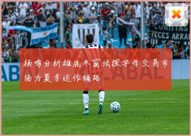 杨鸣分析雄鹿冬窗试探字母交易市场为夏季运作铺路